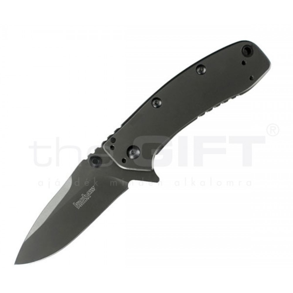 Kershaw Cryo zsebkés titánium karbonitrid bevonat
